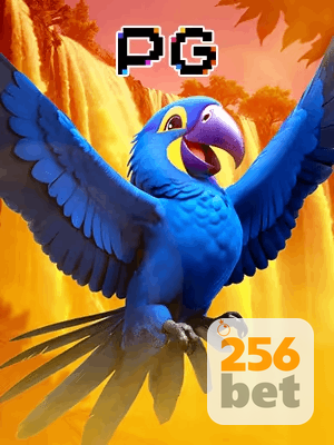 256BET bônus — cashback 15 por cento e níveis VIP
